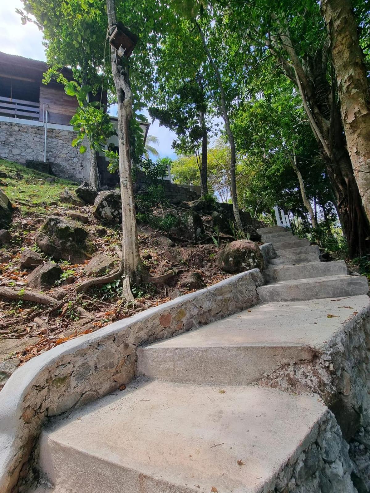 Treetop Guesthouse And Bungalows Sabang  Luaran gambar